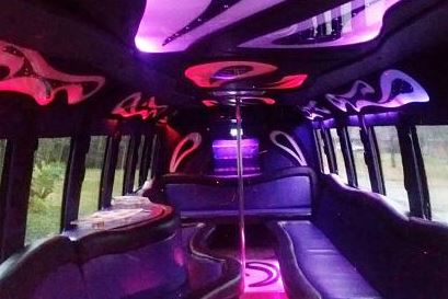 Party Bus Rental Mentor 